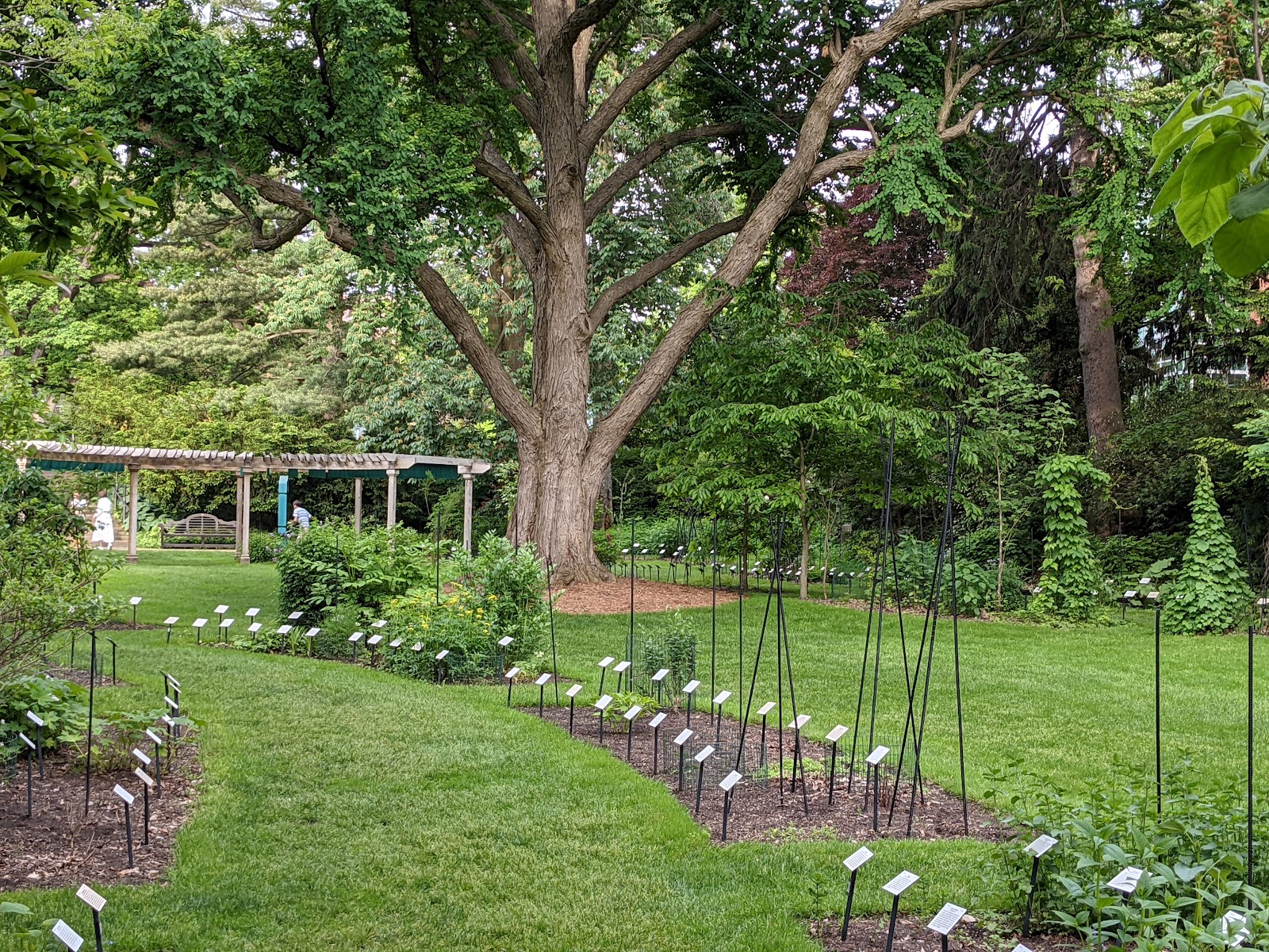 Beal Botanical Garden in East Lansing