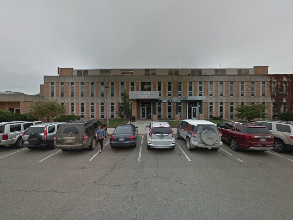 Center for Feline Health & Well-Being in East Lansing