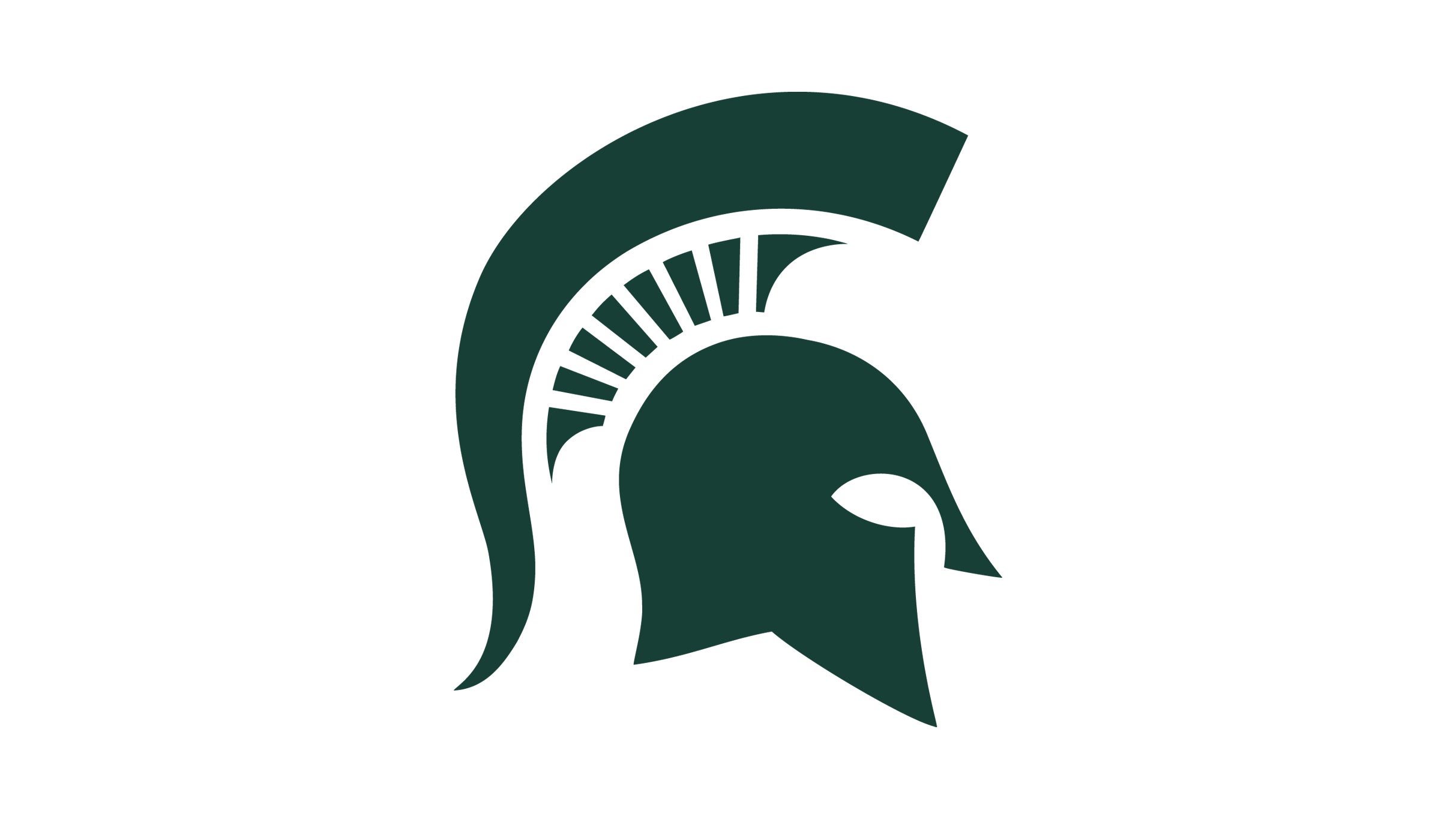 Michigan State Spartans Football vs. Illinois Fighting Illini Football