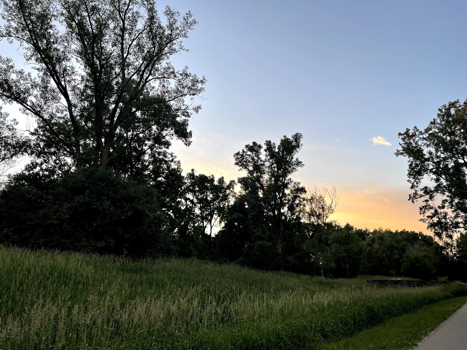 Harrison Meadows Park in East Lansing