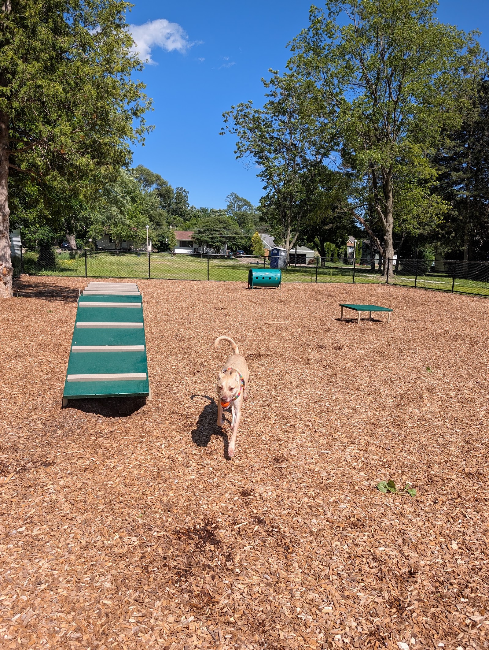 Stoddard Park in