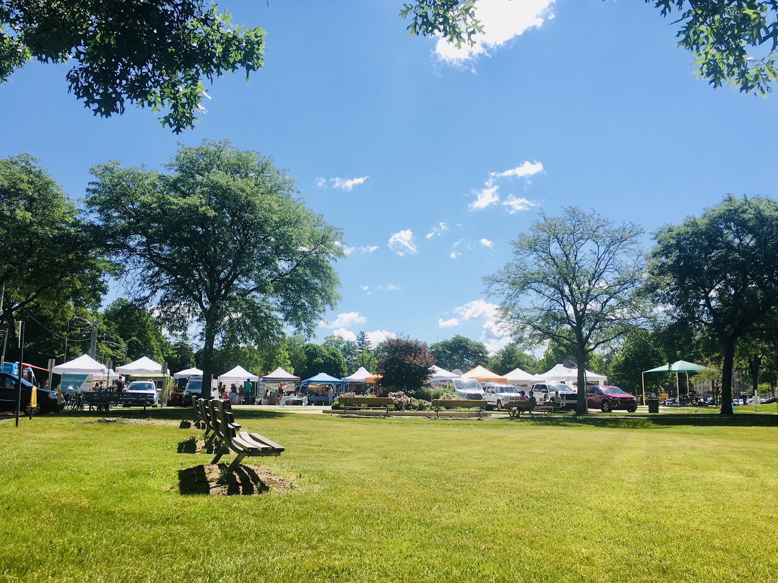 The East Lansing Farmer's Market — photo