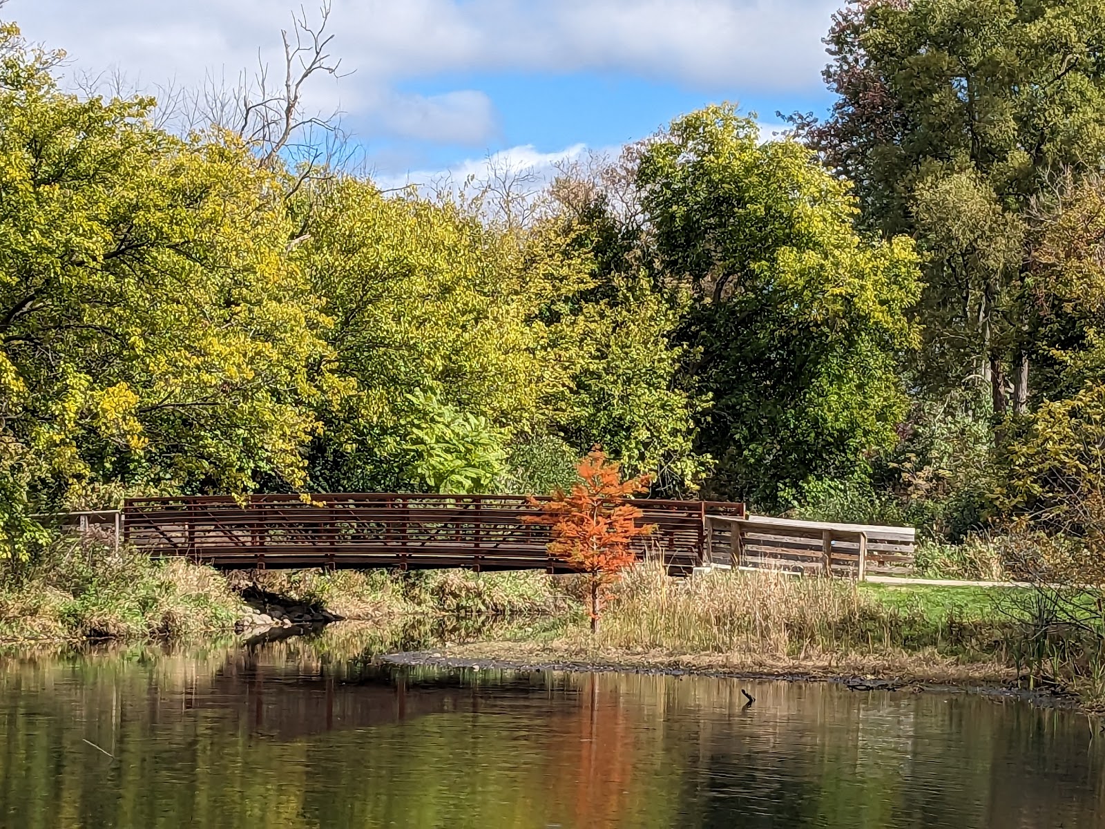 White Park in East Lansing